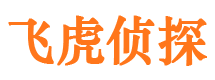 东昌府市私家侦探